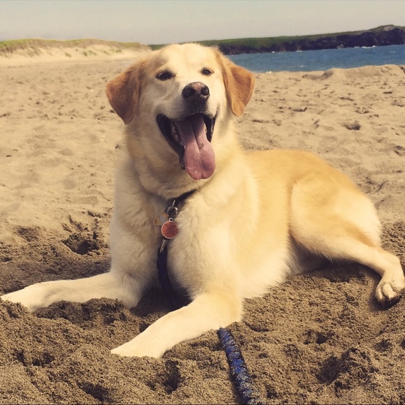 Meet your Posher, Terri - Picture 1 of 1